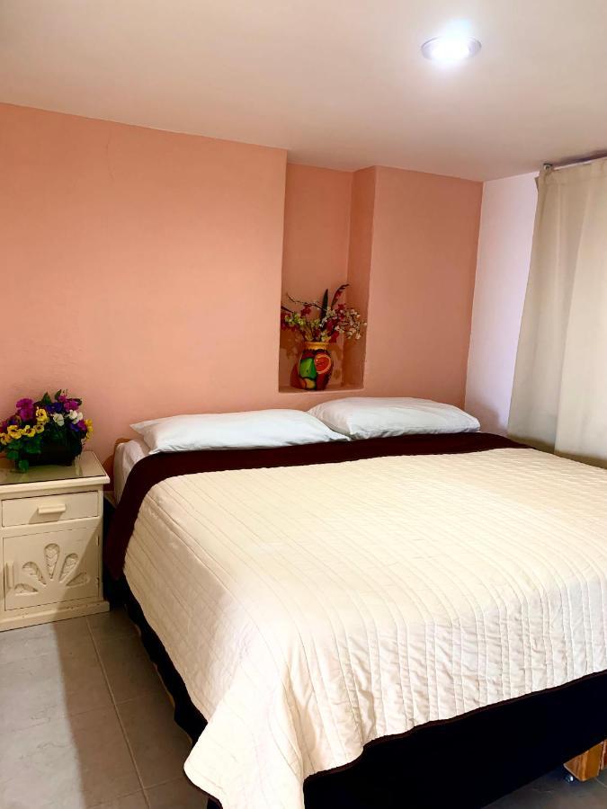 Enna Inn Ixtapa Departamentos Vista Al Mar エクステリア 写真